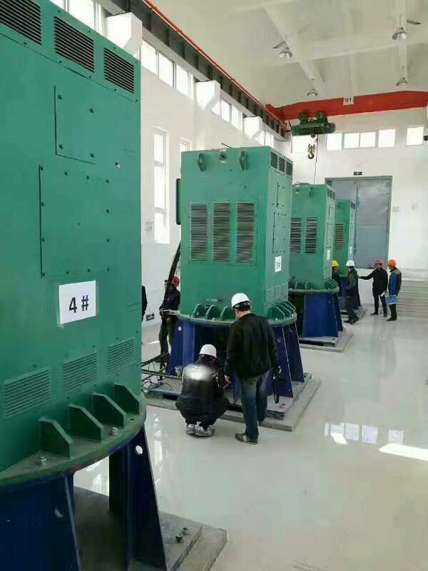 科尔沁左翼后某污水处理厂使用我厂的立式高压电机安装现场